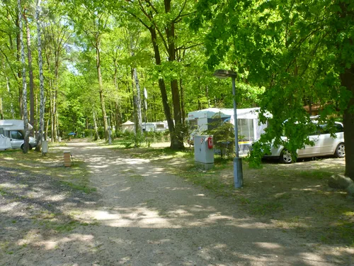 Schwielowsee Camping 7