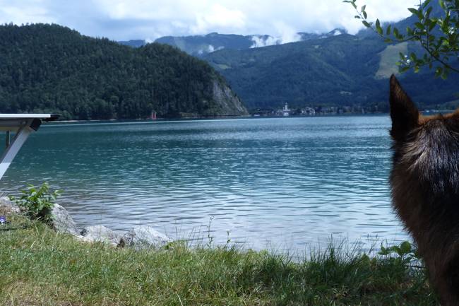 "Wieder da" : Super Seeplatz