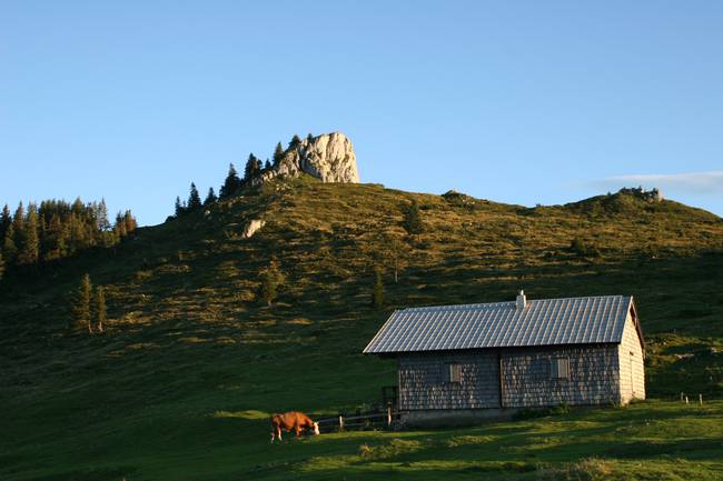 Traumhafte Wanderungen direkt vom Camping aus!