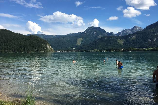 Schöne Liegewiese mit perfekter Seesicht auf den Wolfgangsee