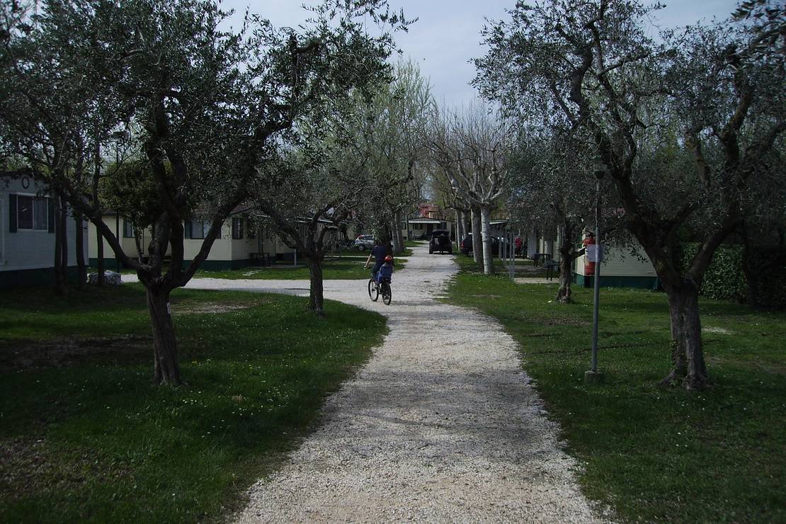 Sereno Camping Holiday 4