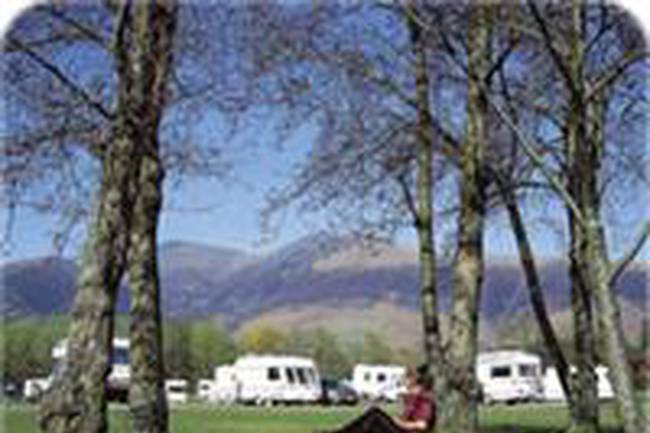 Shardaroba Caravan Park image 0