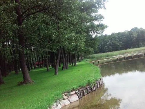 SIEDLISKO ROŻYŃSK 5