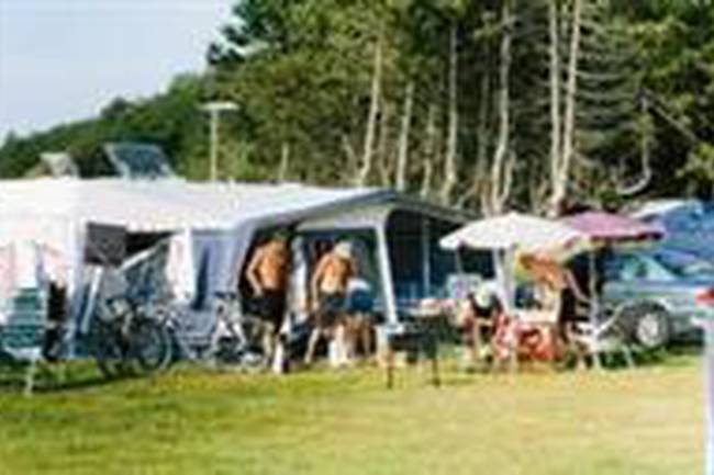 Sælvigbugtens Camping image 0