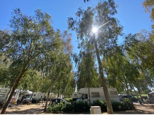 Sosta Camping Torre di Bari Sardo 6
