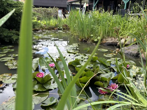 KNAUS Campingpark Lübben 6