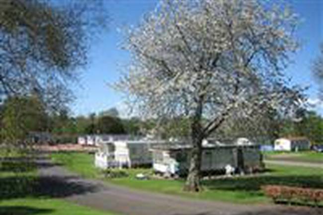 Springwood Caravan Park image 3