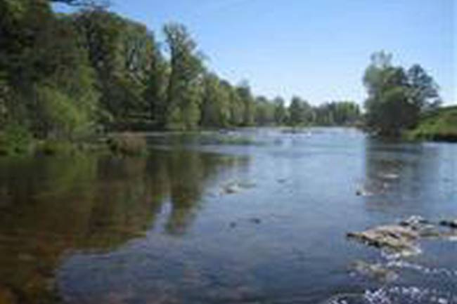 Springwood Caravan Park image 1