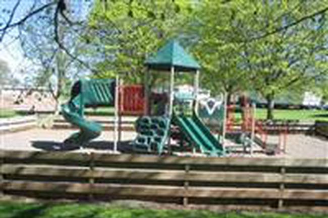Springwood Caravan Park image 2