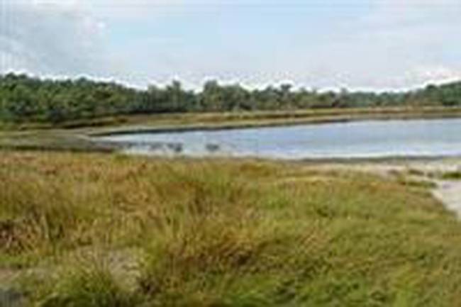 Staartse Duinen image 0