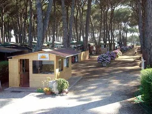 Sunset Camping Club 2