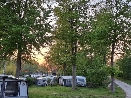 Svendborg Sund Camping image 2