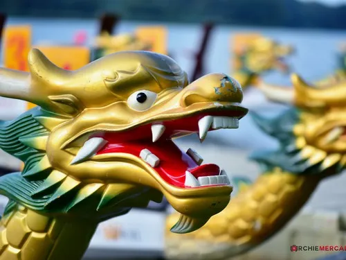 Szegedi Partfürdő Kemping és Apartman 8