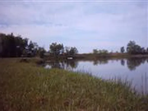 Sziksósfürdői Naturista Strand és Kemping 5