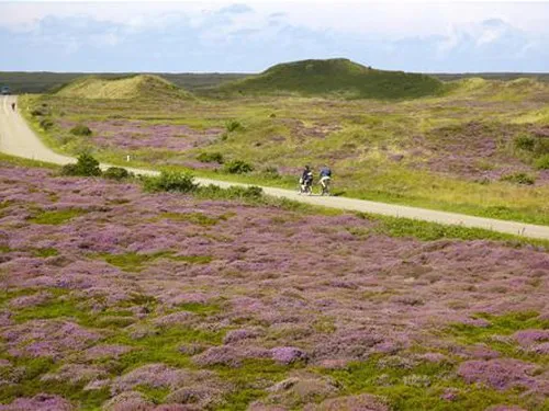 Texelcamping Kogerstrand 7