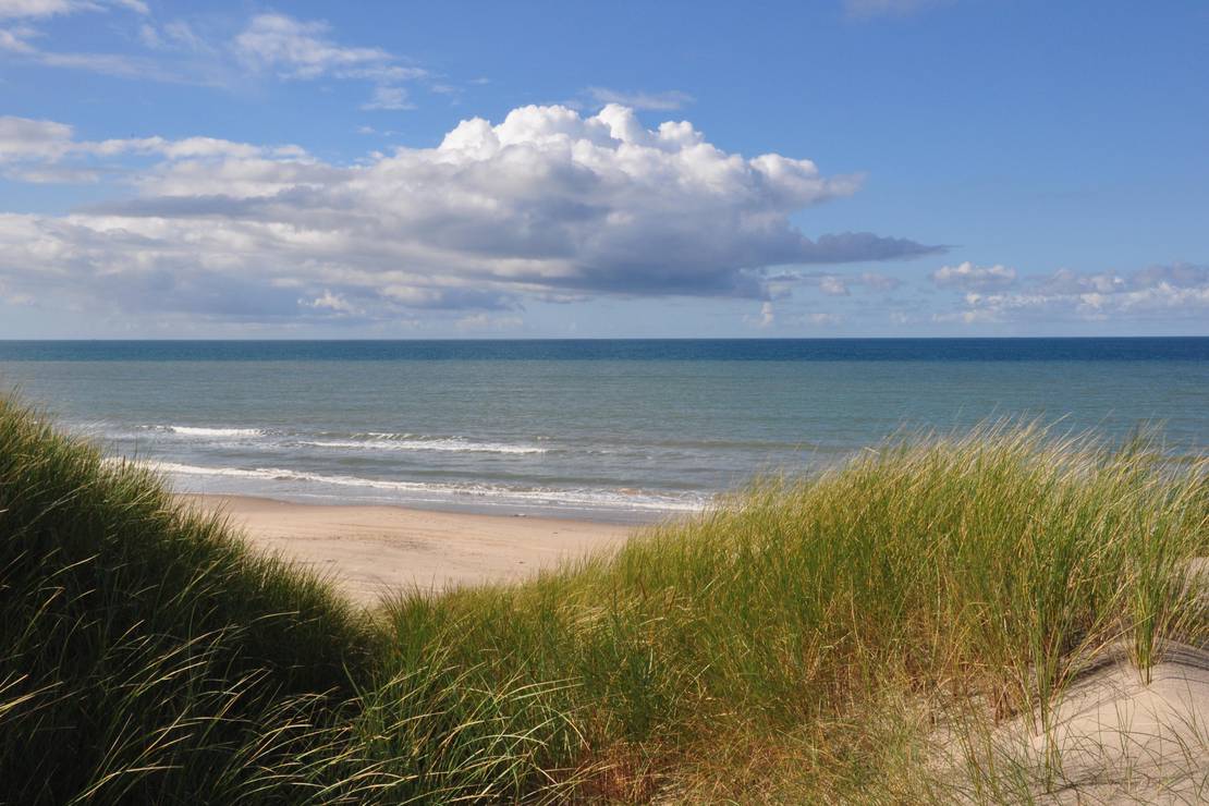 How far from the beach is Tornby Strand Camping - Hirtshals?
