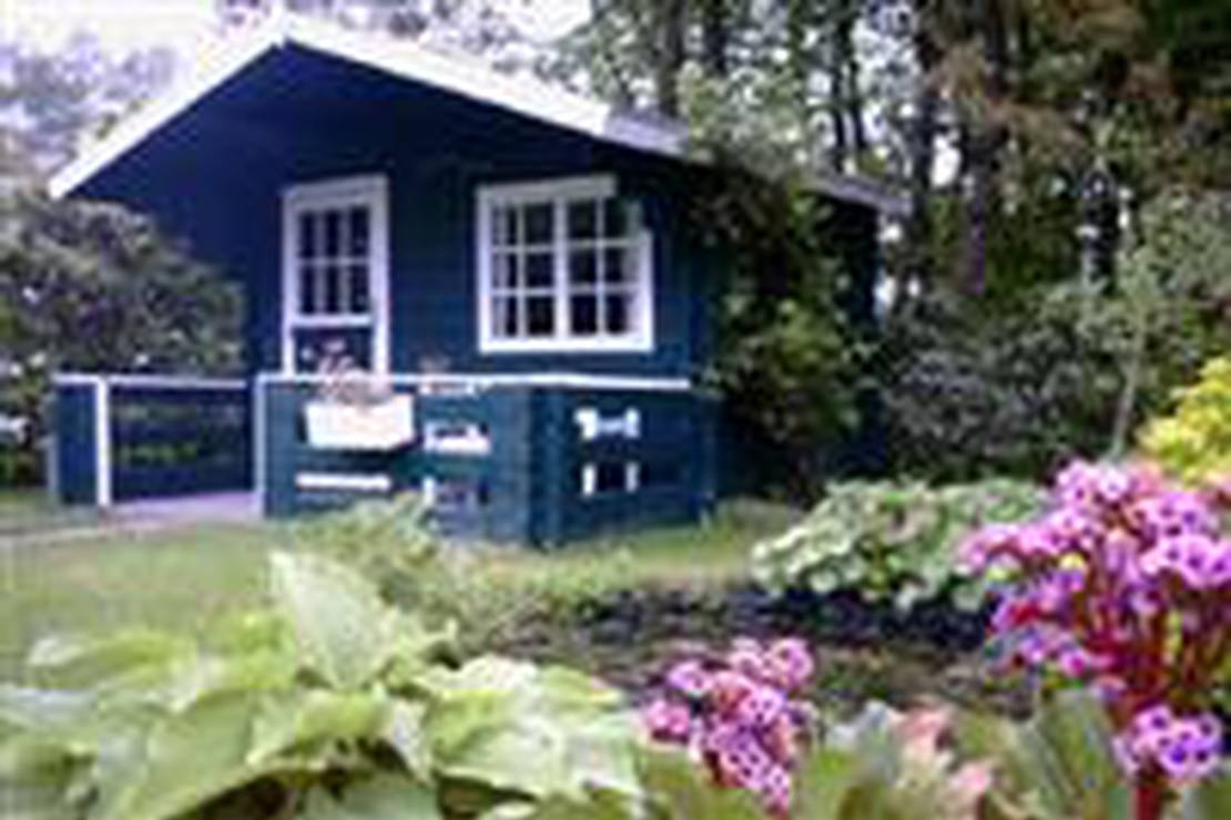 Tuincamping De Brinkhoeve 4