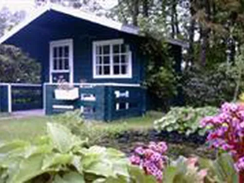 Tuincamping De Brinkhoeve 3