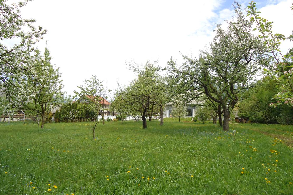 Turisticna kmetija Hribar 4