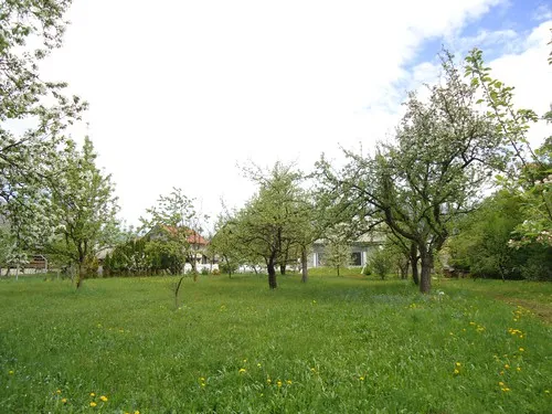 Turisticna kmetija Hribar 3