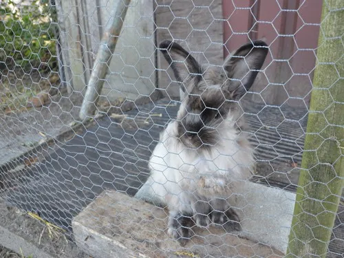 Tussen wad en strand 4