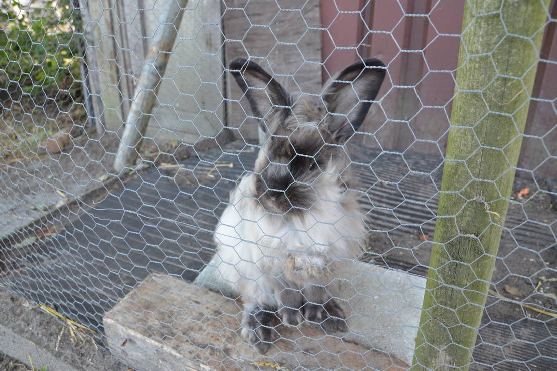 Tussen wad en strand 5