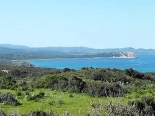 Agricamping - Agriturismo Petra di Cossu 3