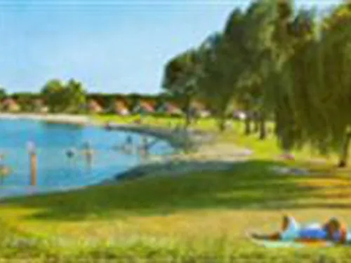 Vakantiepark De Groene Heuvels 5