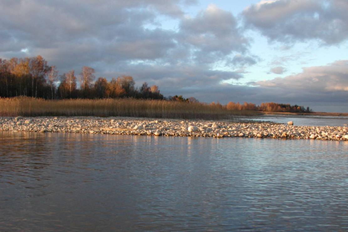 Vanasauna Puhkemaja 4