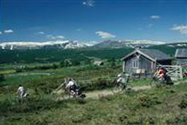 Vaset-senteret Caravanpark image 0