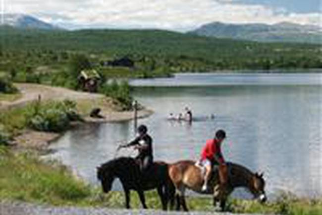 Vaset-senteret Caravanpark image 1
