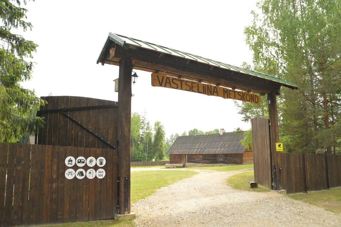Vastseliina Metskond Camping 4