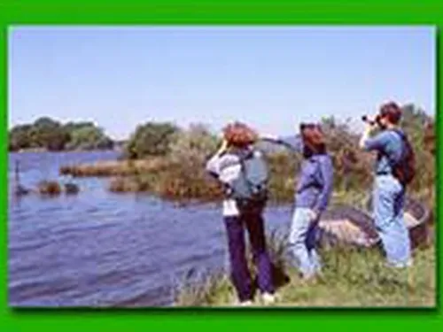 Village Vacances Nature Bellebouche 3