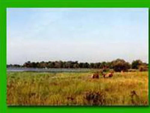 Village Vacances Nature Bellebouche 5