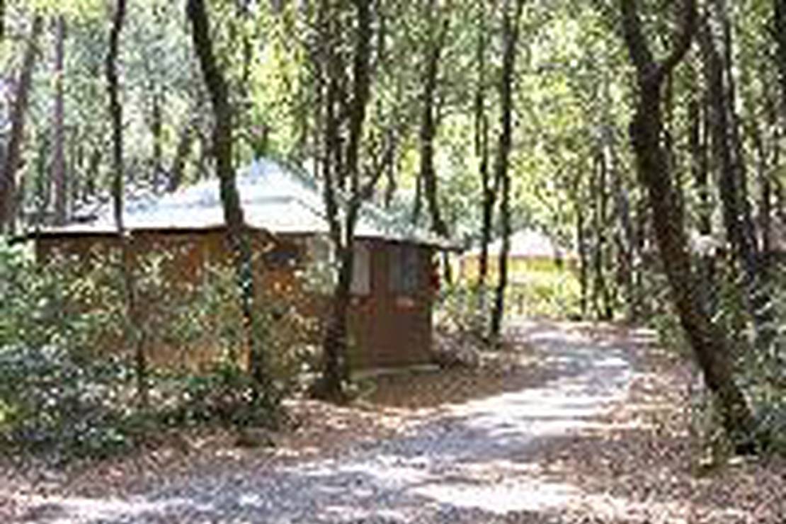 Villaggio Club Cecina 4