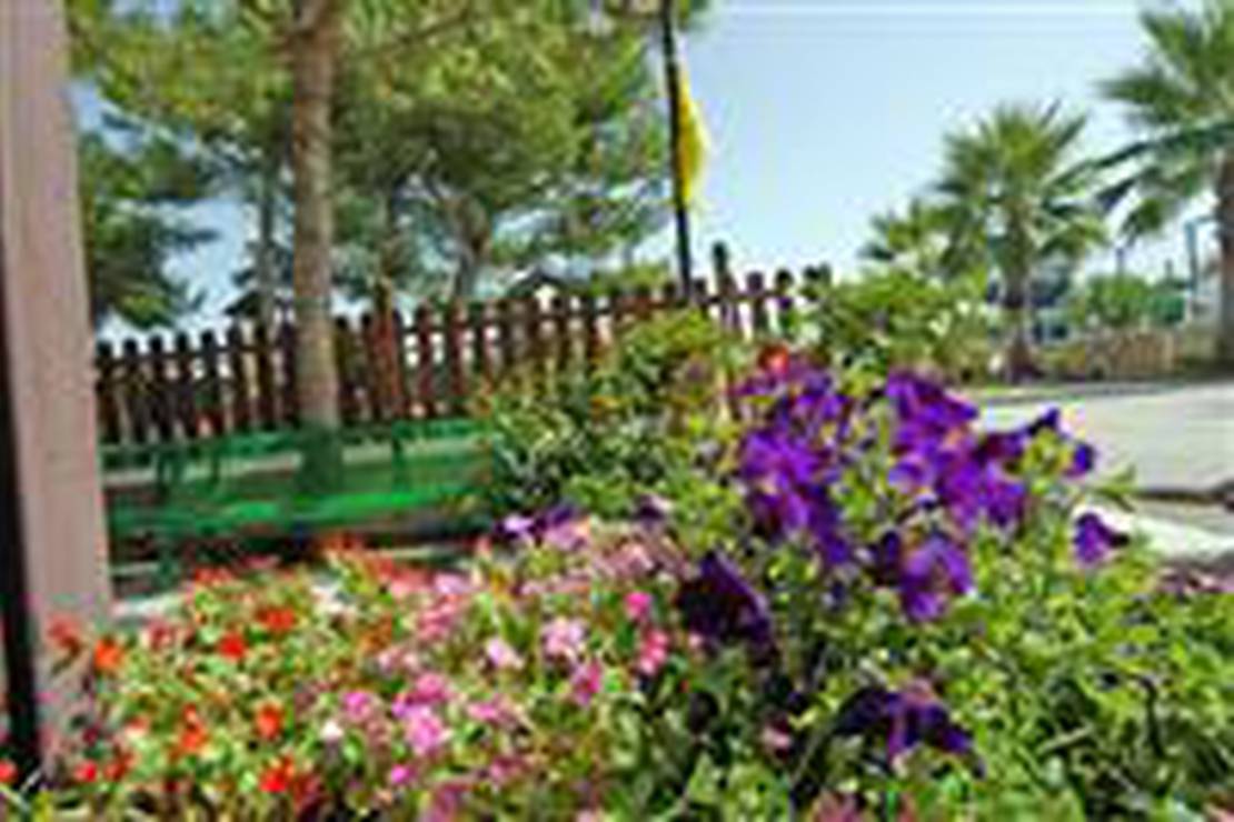 Villaggio Holiday Camping Bungalow & Residence 4