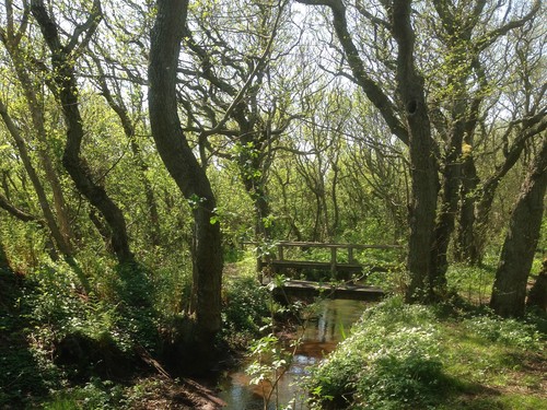 Vilshärads Camping image 2