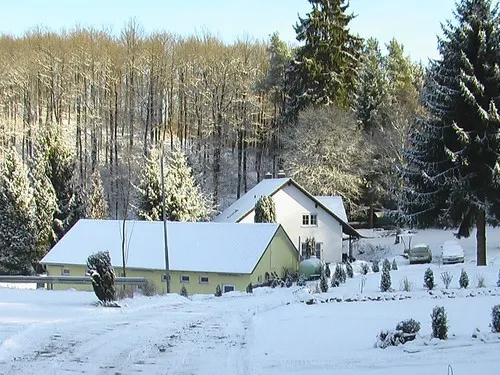 Waldcamp Meerbornsheide 7