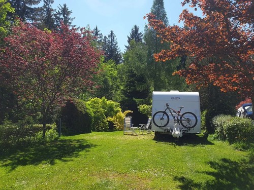 Waldcamping Erzgebirge 2