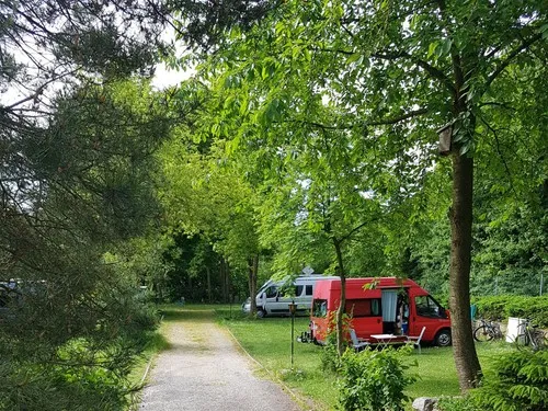 Waldcamping Hubertus 7