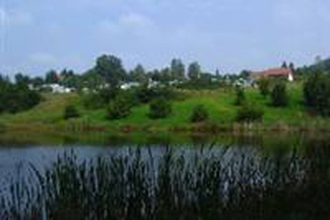 Waldcamping Hüttenhof 5