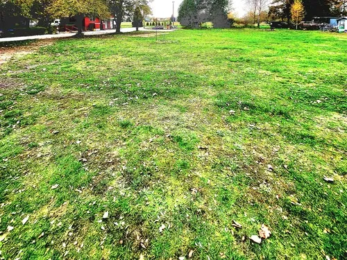 Waldcamping Lausitzer Seenland 5