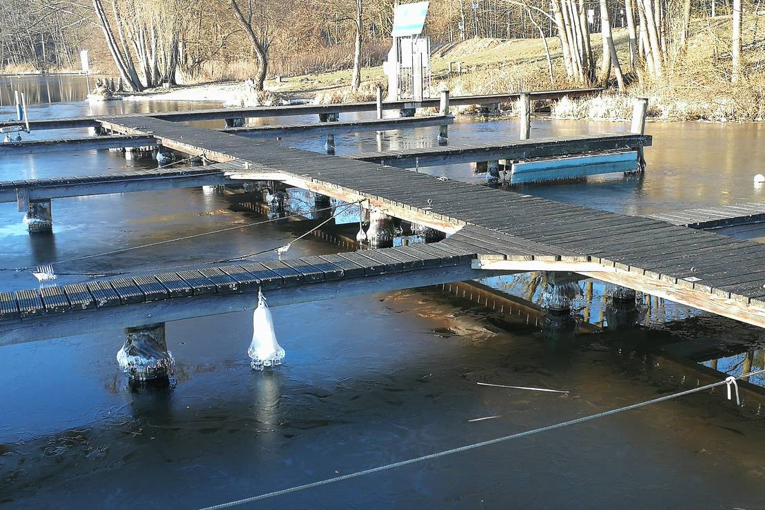 Waldcamping Zethner See 4