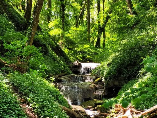 Waldcampingplatz Germania Mörtelstein 7