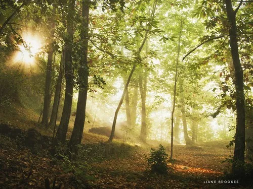 Wild Camping Paladini 3