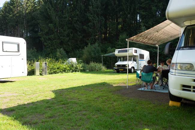 Ruhe in der Waldlichtung
