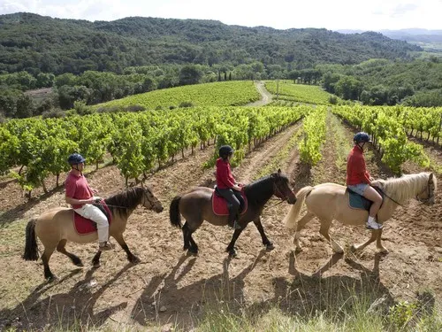 Yelloh! Village Domaine D'Arnauteille 7