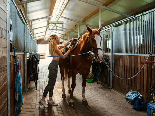 Young Riders School - Caravans Camping 3
