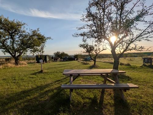 Zeltwiese Löbejün 2