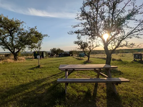 Zeltwiese Löbejün 5